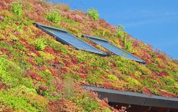 Staffords Green living roof systems