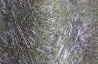 Staffords Green fibreglass roof work